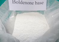 самый лучший Смесь CAS 846-48-0 Boldenone чисто сырцового Boldenone порошка 98% стероидная для культуриста для продажи