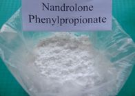 самый лучший Но. 62-90-8 Phenylpropionate Durabolin занимаясь культуризмом CAS чисто Nandrolone 99% стероидное для продажи