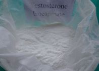 Китай Законный здоровый порошок тестостерона Isocaproate сырцовый без побочных эффектов 15262-86-9 дистрибьютор 