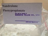 Законная польза стероида 62-90-8 Nandrolone Phenylpropionate Nandrolone после хирургии для продажи